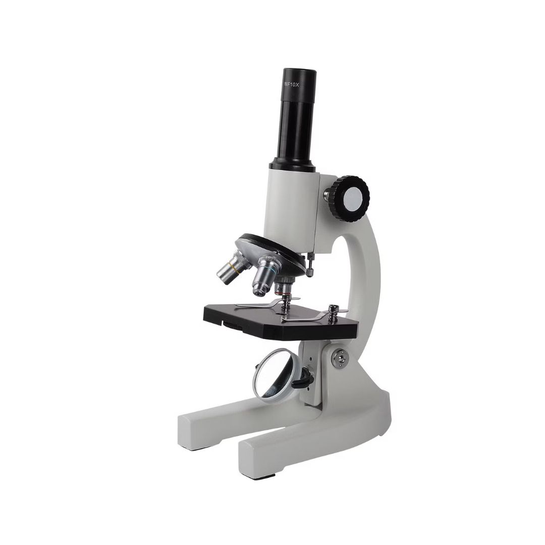 Compound Microscope - Image 4